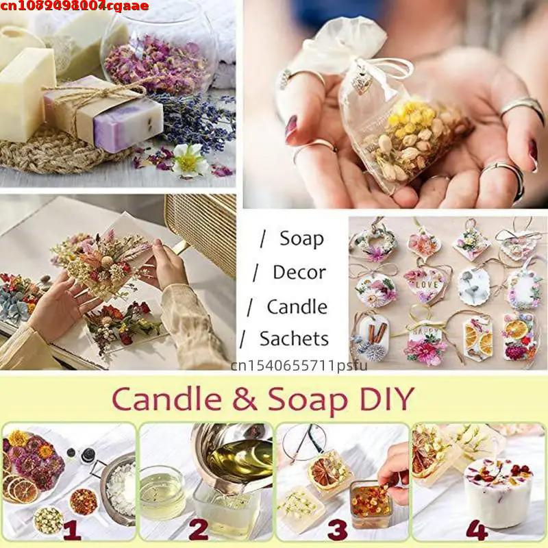Kaliteli Cadı Başlangıç Seviye - Candle Making For Beginners incelemesi ve fiyatı